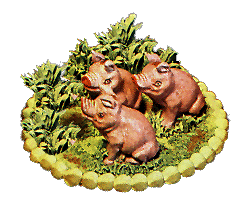 Piggies