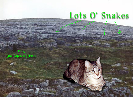 Lots O Snakes