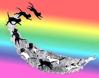 Rainbow Kitties