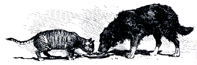 Eating with dog